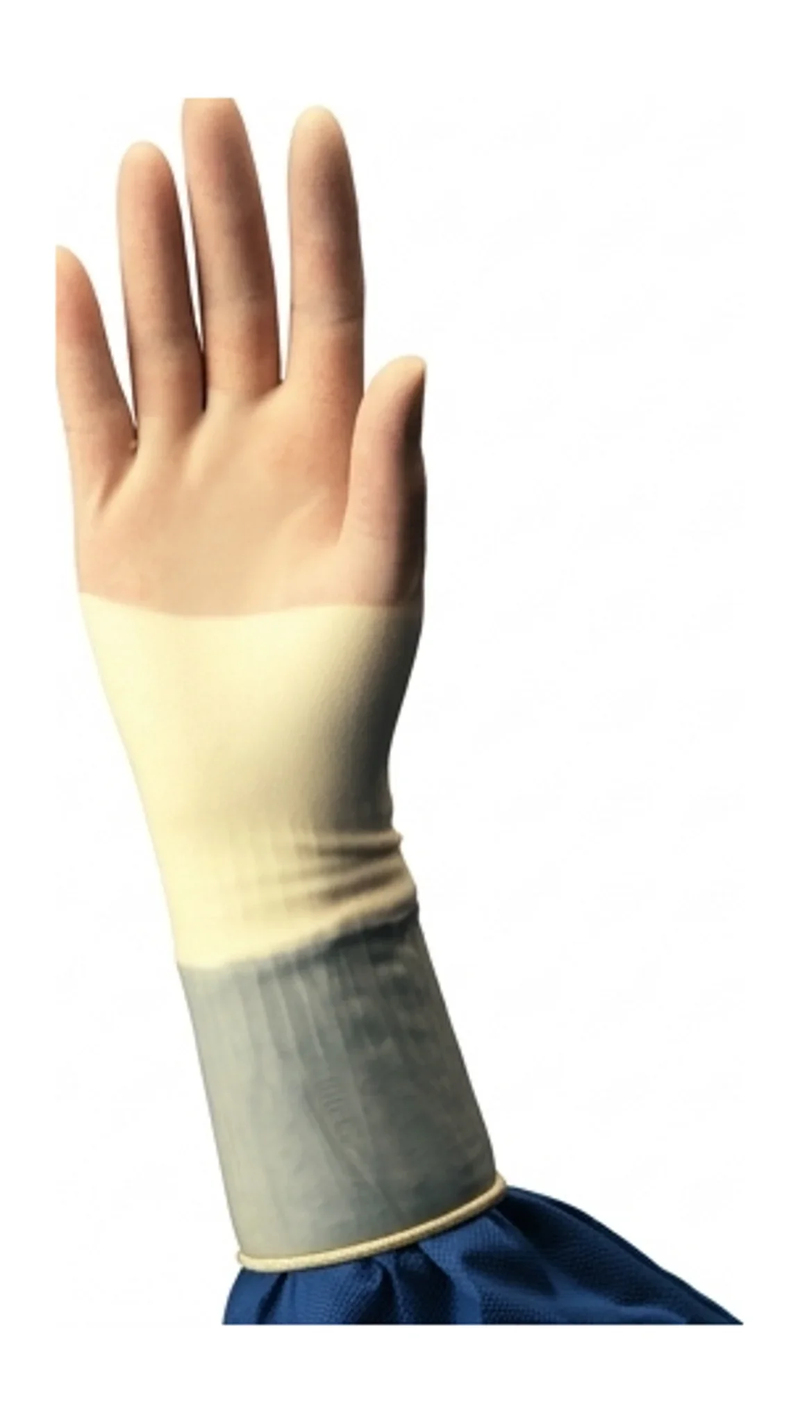 Protexis® PI Ortho Surgical Glove, Size 6-1/2, L11.5"
