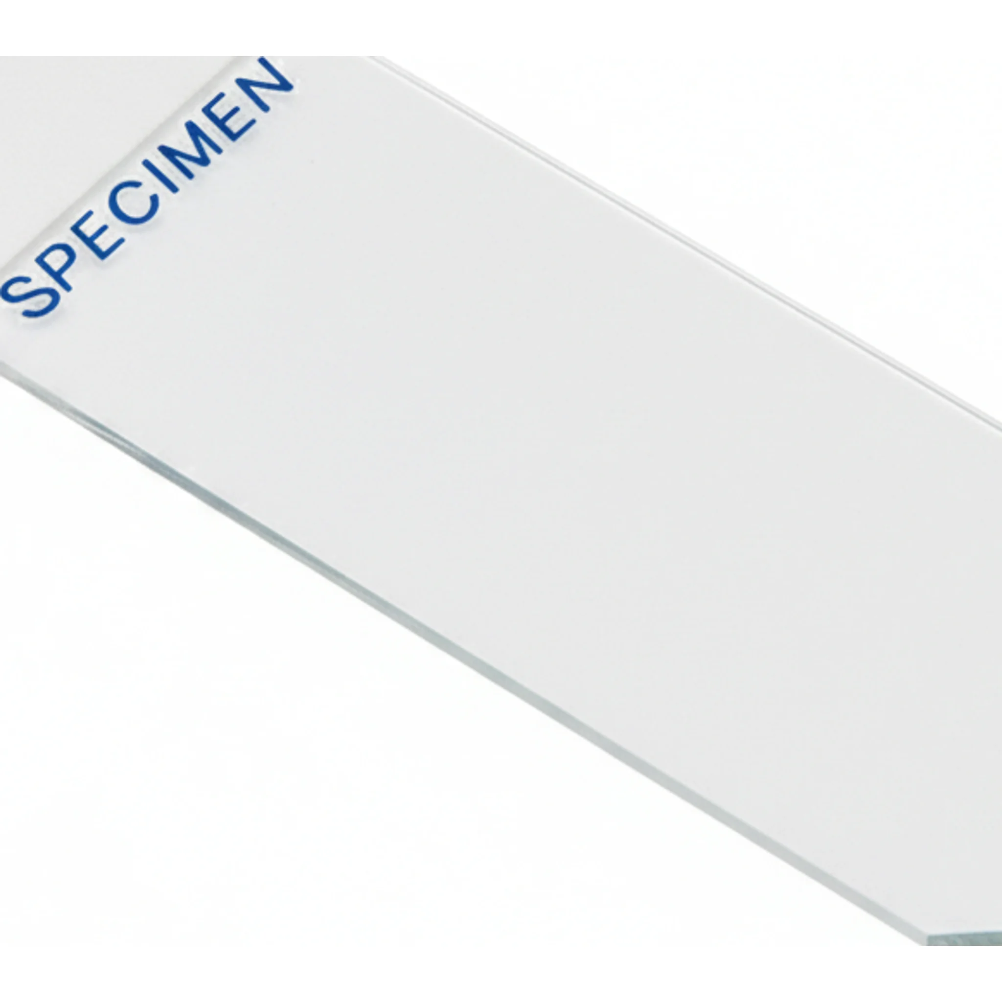 Superfrost® Plus Microscope Slide, Charged Adhesion, White