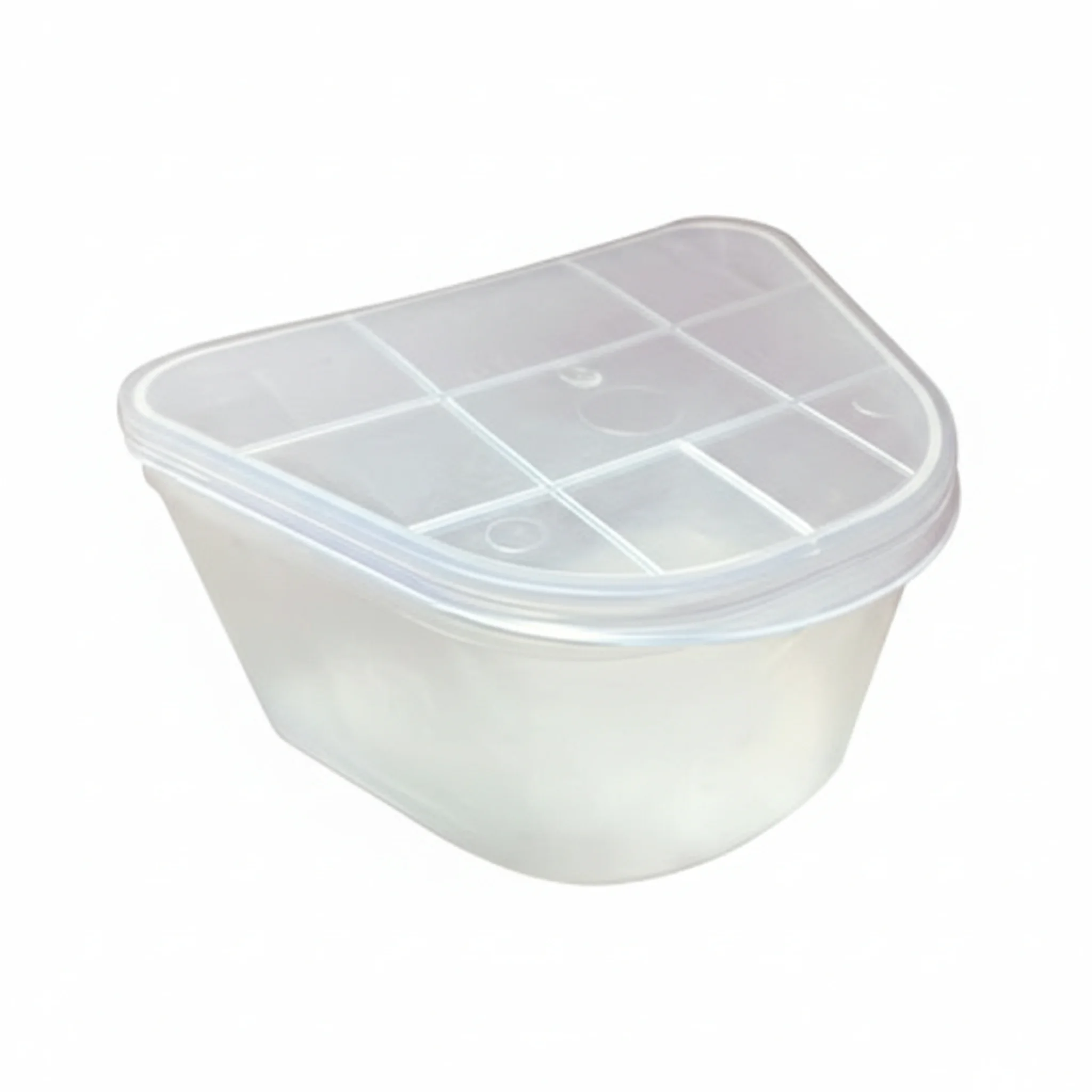 Denture Cup with Clear Hinged Lid